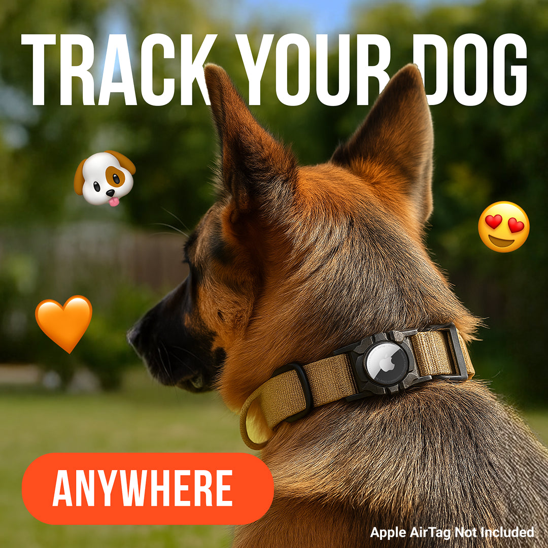 Homgud™ AirTag Collar
